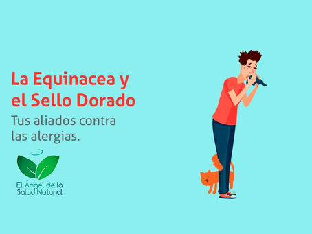 La equinacea y el sello dorado son tus aliados contra las alergias