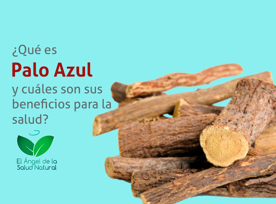 Para Que Sirve El Palo Azul Benefits For Skin Palo Azul y sus propiedades medicinales