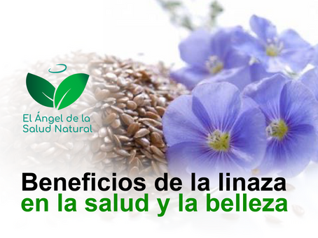 Beneficios de la linaza en la salud y la belleza