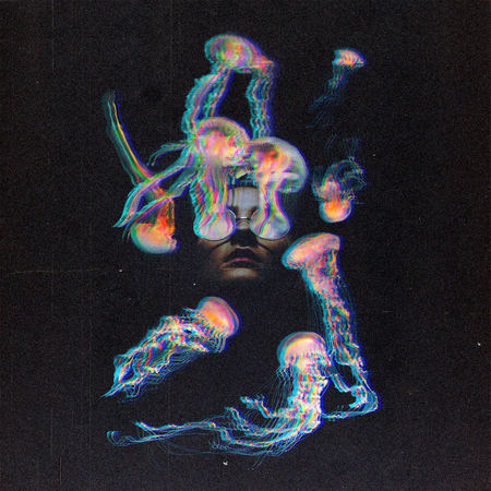 Jellyfish