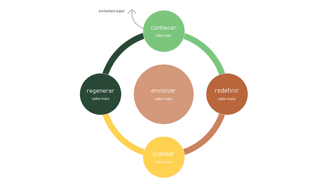 fases de implementação3.png