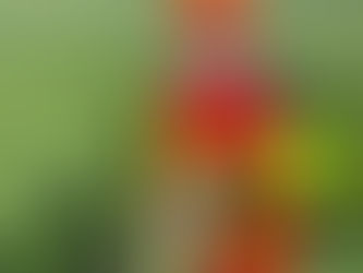 30. April 25 - DAS ERSTE KITZ der Saison