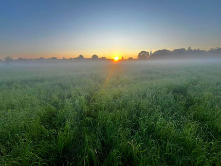 1. Juli 25 • keine weiteren Funde in den letzten Tagen