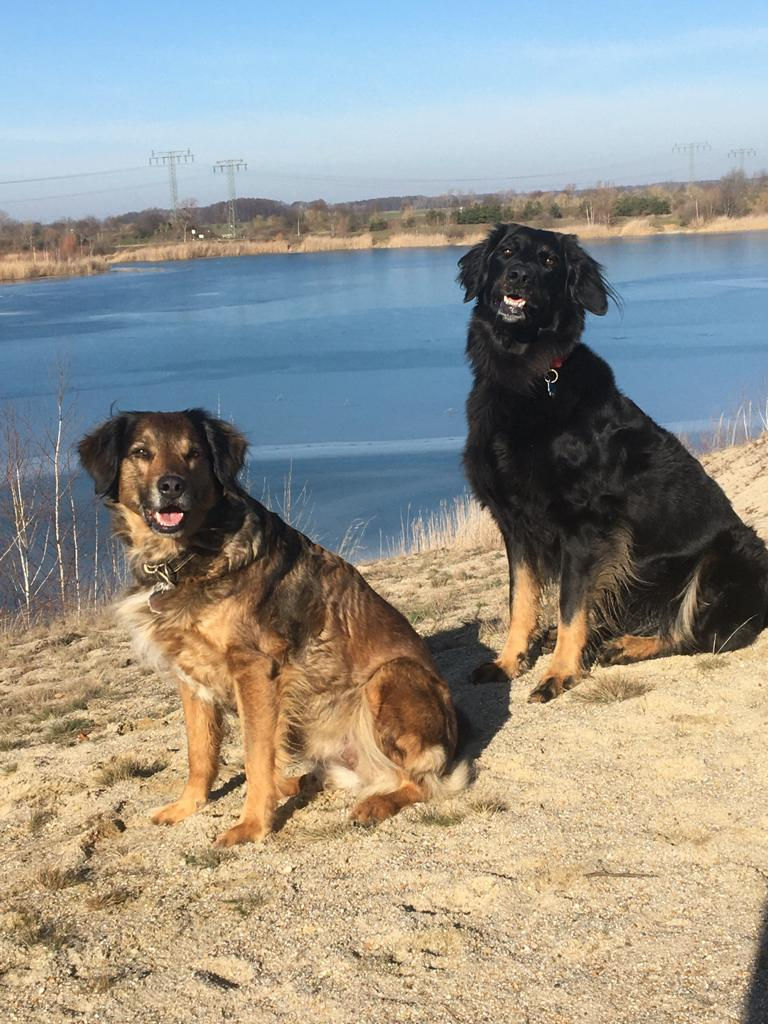 c3a74d2b-0a4e-4720-906f-b7ab18bdaa12