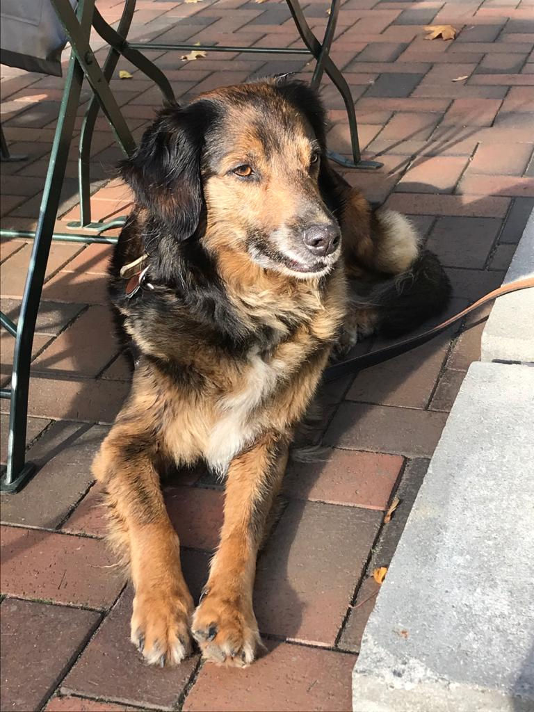 c26ecb2f-1365-4ef7-a419-7c340965dc46