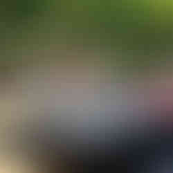 fishing boats on lake