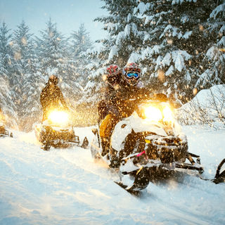 snowmobilers in woods