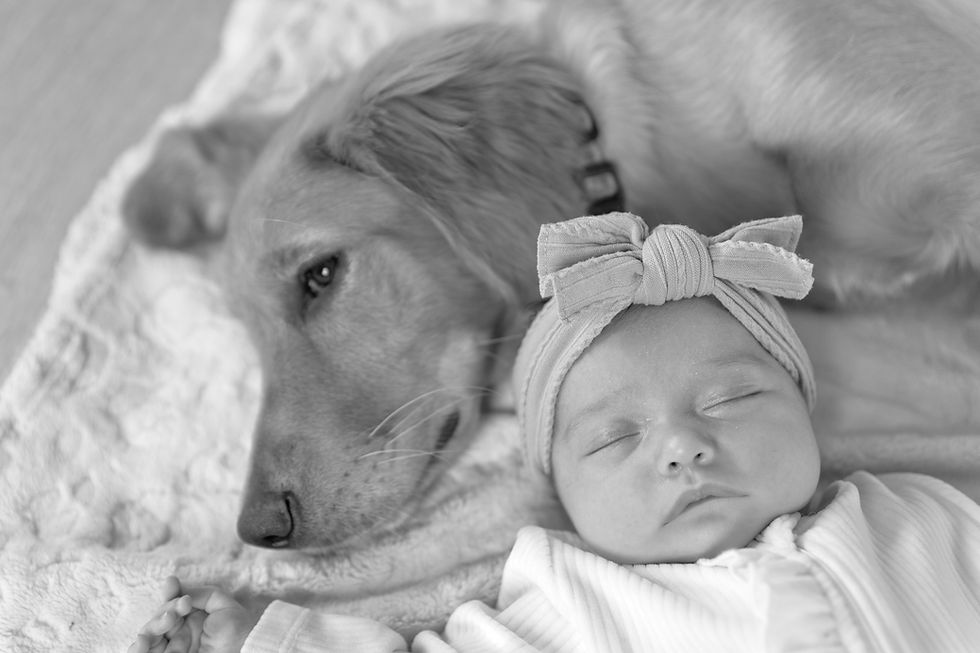newborn baby girl and her sweet protector.
