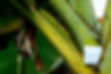 What is Conscious Marketing? - Seattle, Bellingham, Kailua-Kona, Hawaii