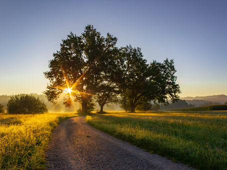 lernism sagt "hello world"!