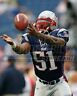 Jerod Mayo New England Patriots linebacker catch   8x10 11x14 16x20 photo 574