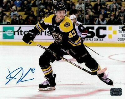Danton Heinen Boston Bruins Signed Autographed Home Skate 8x10