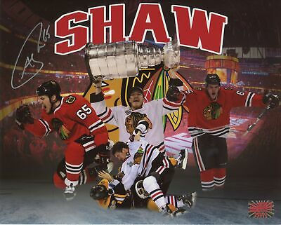 Andrew Shaw Chicago Blackhawks Signed Autographed Montage 16x20
