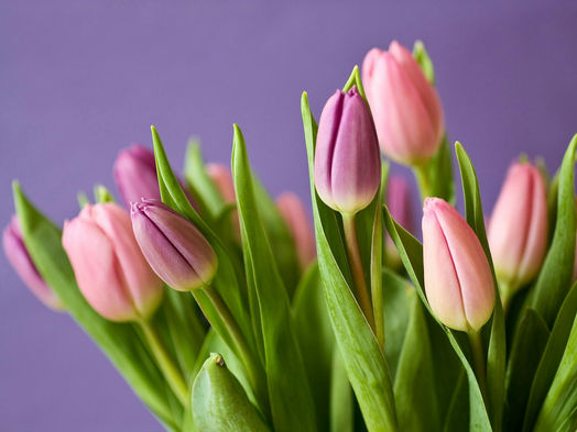 PÅSKTIDER - Bemanning & Gruppträning 🐣