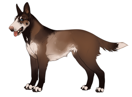 dfbqu2u-d0c938fd-926f-4295-ae29-d9a0fde276eb.png