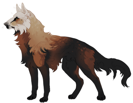 bas reference fancy copy 1.png