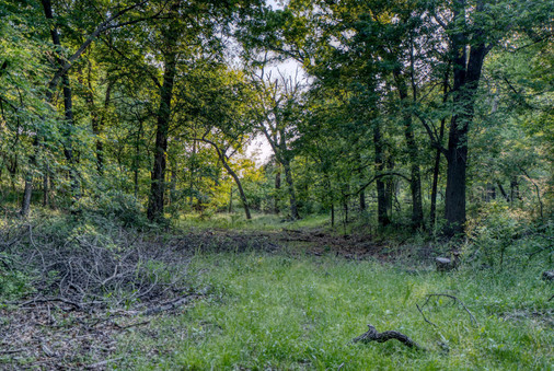 Lone Grove, Oklahoma land for sale
