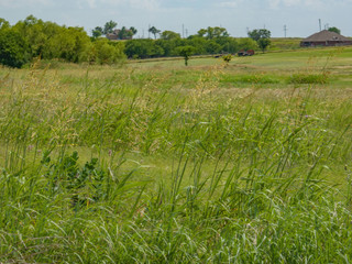 6 acres for sale in Lawton, OK