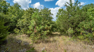 2 acres for sale