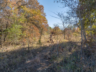 Farm land for sale