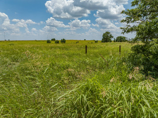 Fence Post.jpeg