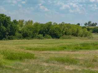 Land for sale in in Comanche County