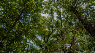 2 acres for sale