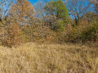 Unrestricted land in Checotah Oklahoma
