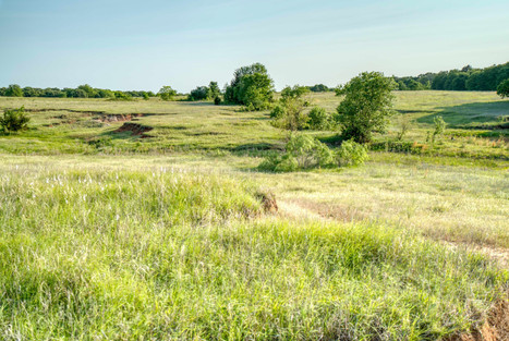 Land for sale in Lone Grove , Oklahoma