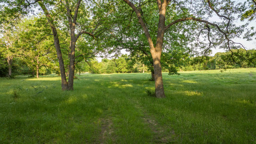 Lone Grove, Oklahoma land for sale