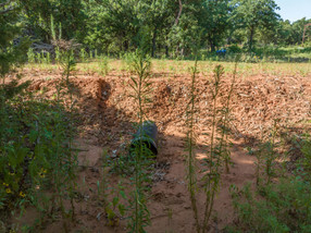 20 acres for sale Minco