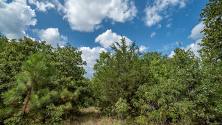 2 acres for sale