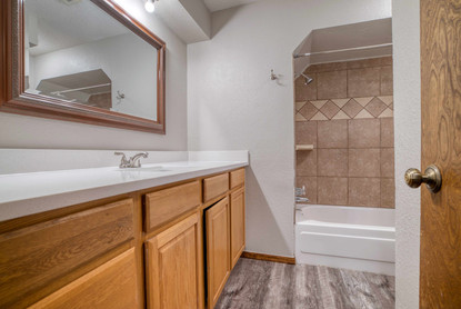 Hall Bath.jpeg