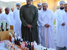 موسم ربيع الورد يعزز الحركة السياحية وينشّط الاقتصاد المحلي بمحافظة الداخلية