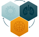 Wim Hof Icon Kurse Schweiz