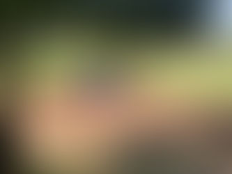 Sanierung des Sportgeländes Waldrennach hat begonnen