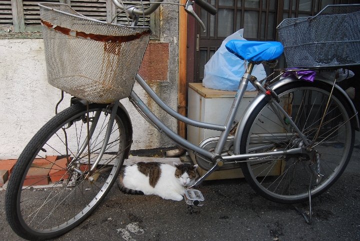 日本橋長屋改造