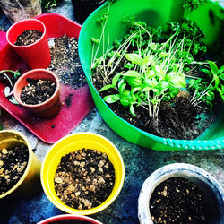 2019みんなでそだてよ市