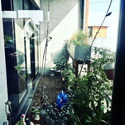 2019.植栽レクチャー