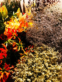 2018.BLOOMOON空間デザイン