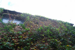 2011年　高田馬場店舗工事