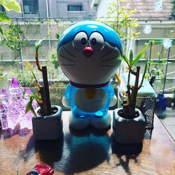 2020.植栽レクチャー