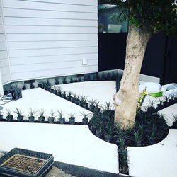 2020.8月植栽施工