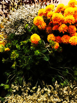 2018.BLOOMOON空間デザイン