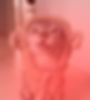 gato miu_3x.png