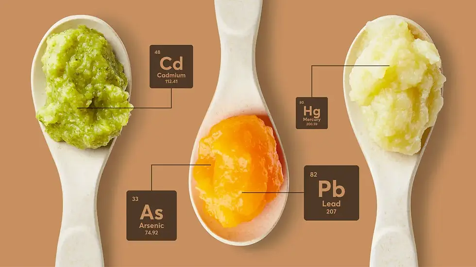 Consumer Reports 8/2025