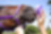AdobeStock_46918630.jpeg