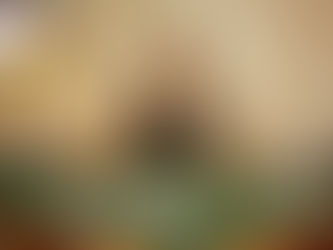 Khám Phá Thế Giới Thể Thao Ảo Tại SIN88: Trải Nghiệm Độc Đáo