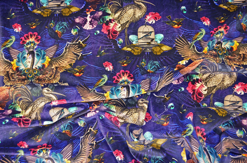 Thumbnail: Velvet – Arrivée Des Oiseaux