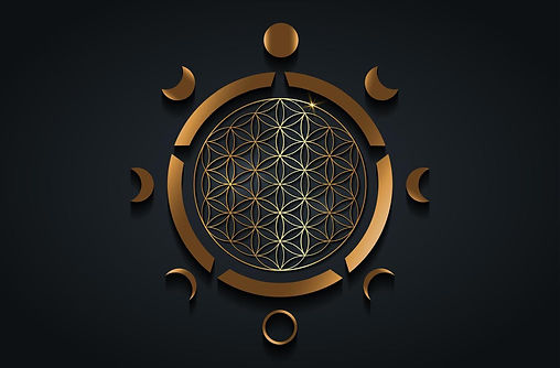 Spiritual education logo for Ryuqi Academy offering Reiki, meditation, and energy cultivation programs